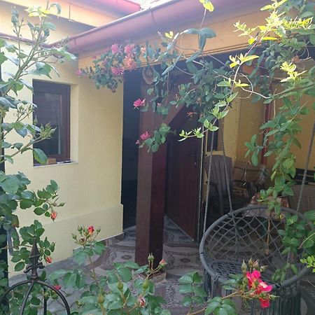 Casa Bunicilor Apartment Cisnadie ภายนอก รูปภาพ